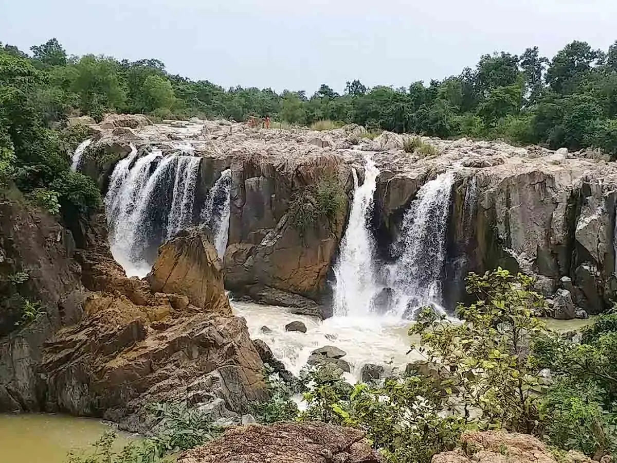 odisha 