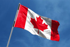 Foreign interference in Canada