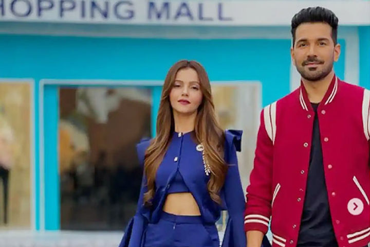 Rubina Dilaiks phone number leaked Abhinav Shukla took this step