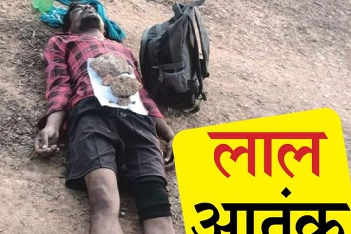 Nexal News Nexal News