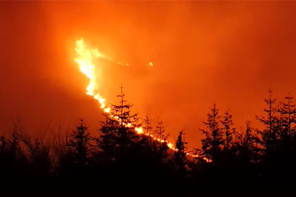 Wildfire in Northern Ireland