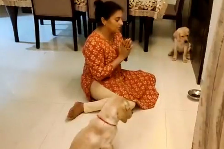 Woman teaches puppies to pray