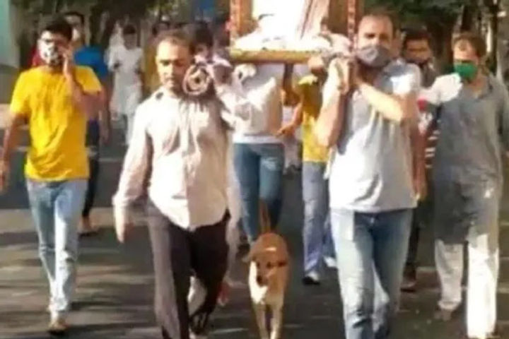 Dog joins Gujarat sadhvi's funeral