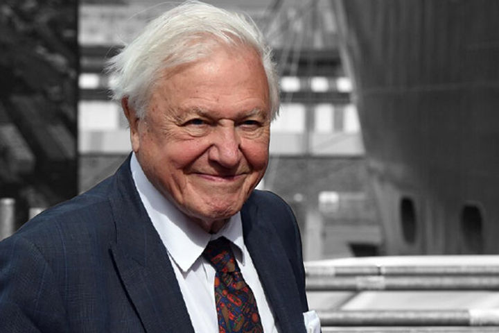 David Attenborough named COP26 People&amprsquos Advocate