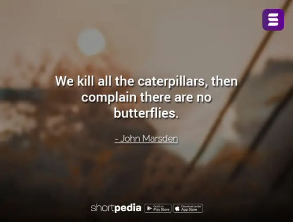 Positive Quote