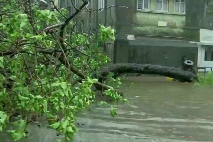 Taukate hit Gujarat coast winds blowing at a speed of 185 km per hour 18 died in 4 states Taukate hit Gujarat coast winds blowing at a speed of 185 km per hour 18 died in 4 states