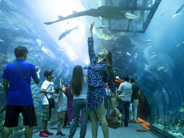Dubai Aquarium and Underwater Zoo