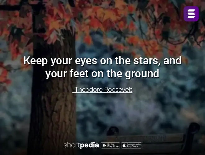 Motivational Quotes : Keep your eyes on the stars, and your feet on the ...