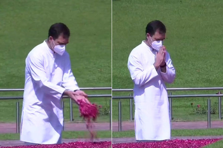 Rahul Gandhi pays tribute to former Prime Minister Jawaharlal Nehru on his death anniversary Rahul Gandhi pays tribute to former Prime Minister Jawaharlal Nehru on his death anniversary