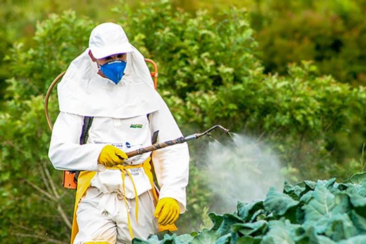 Switzerland Will Be The First Country In Europe To Ban Synthetic Pesticides