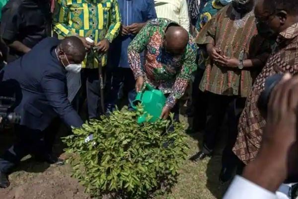 5 million trees planted in Ghana