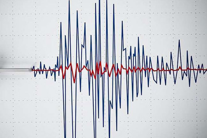 Earthquake tremors felt at different times in three states of India