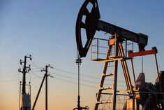 India increased pressure on OPEC countries to keep prices low