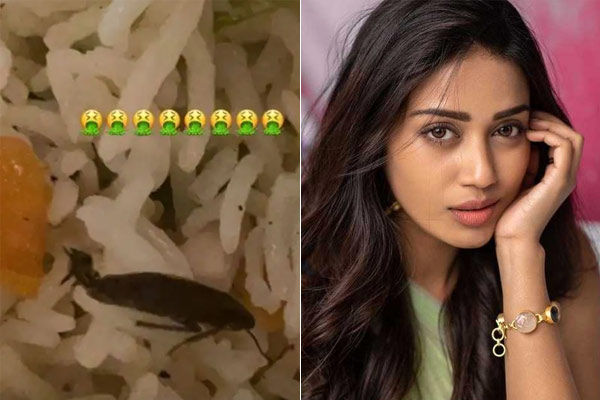 Cockroach came out in the food ordered from the restaurant actress Nivetha Pethuraj got angry