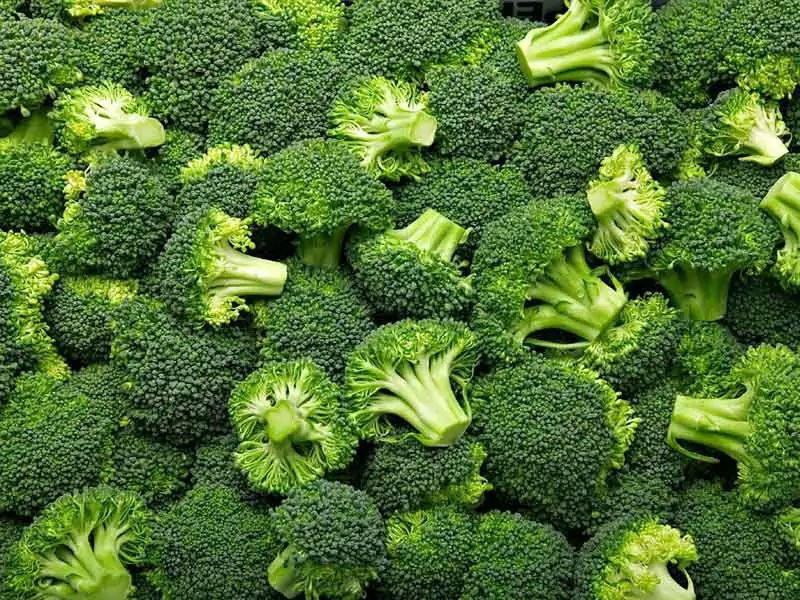 broccoli benefits