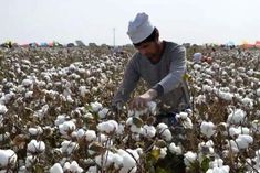 France launches probe into fashion groups over forced Uyghur labour