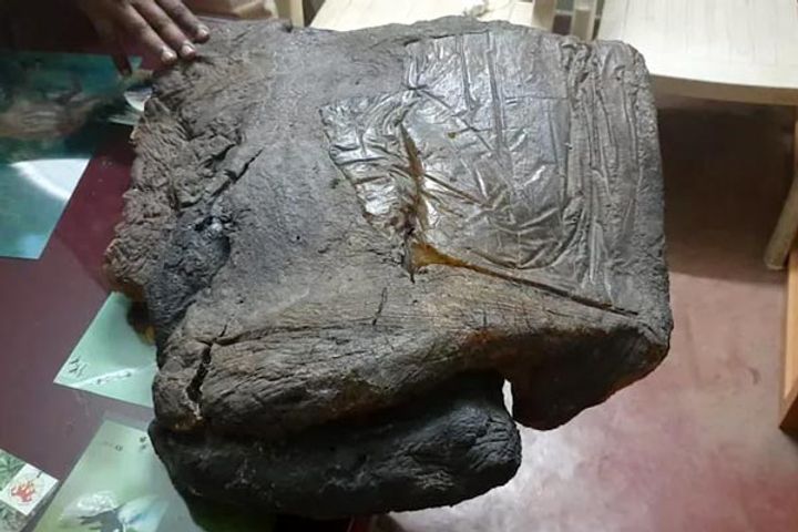 3 arrested with whale vomit