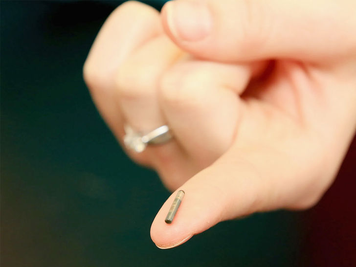 Cost of the Microchip Cost of the Microchip