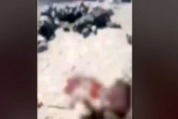 Taliban Killed 22 Afghan Commandos In Afghanistan