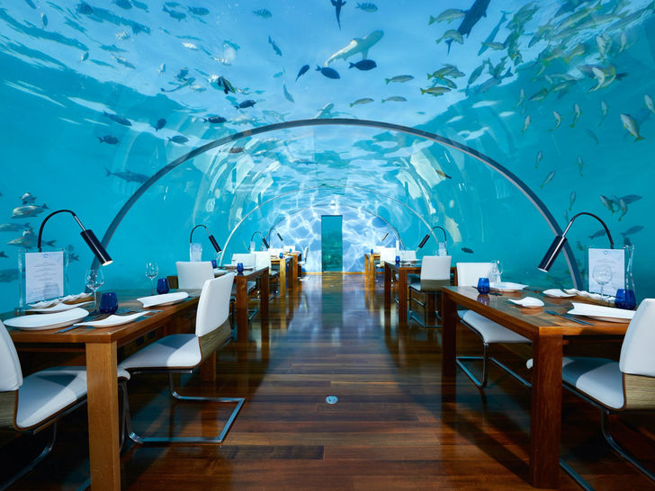 Ithaa Undersea – Maldives Ithaa Undersea – Maldives
