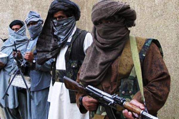 Taliban captured half of Afghanistan