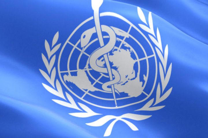 1st case of Marburg Virus in West Africa 1st case of Marburg Virus in West Africa