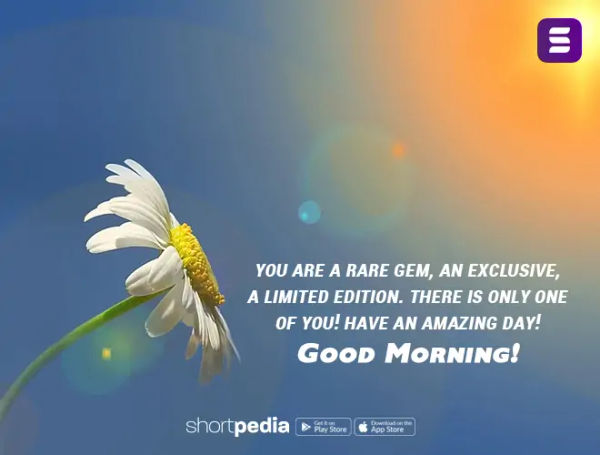 You are a rare gem, an exclusive, a limited edition. There is only one of you! Have an amazing day! 