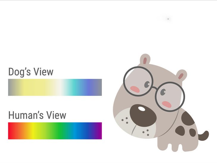 Dogs can see some colors