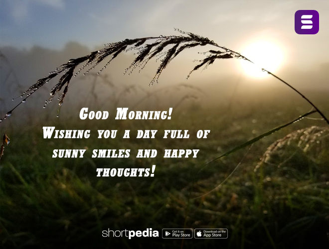 good morning images sunny