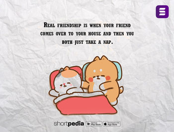 Friendship Quotes : Real friendship is when your friend comes over to your  house and then you both just take a nap. | Shortpedia