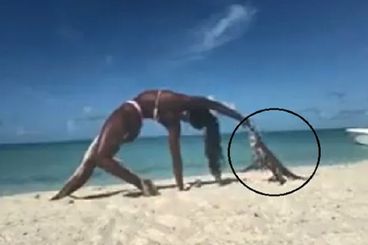Iguana attacked a woman doing yoga on the beach Iguana attacked a woman doing yoga on the beach
