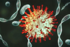 Coronavirus Pandemic 