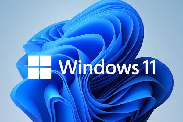 Windows 11 operating system