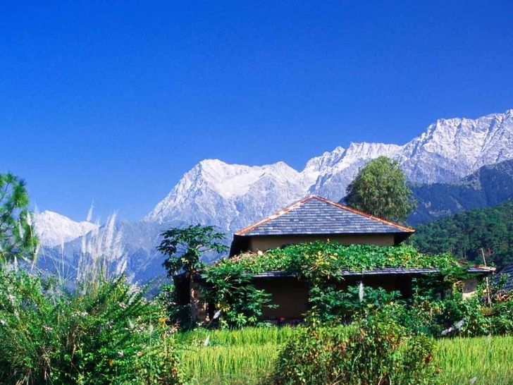 palampur, dharamshala