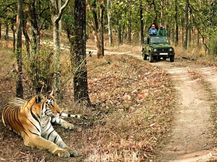 Bandhavgarh National Park