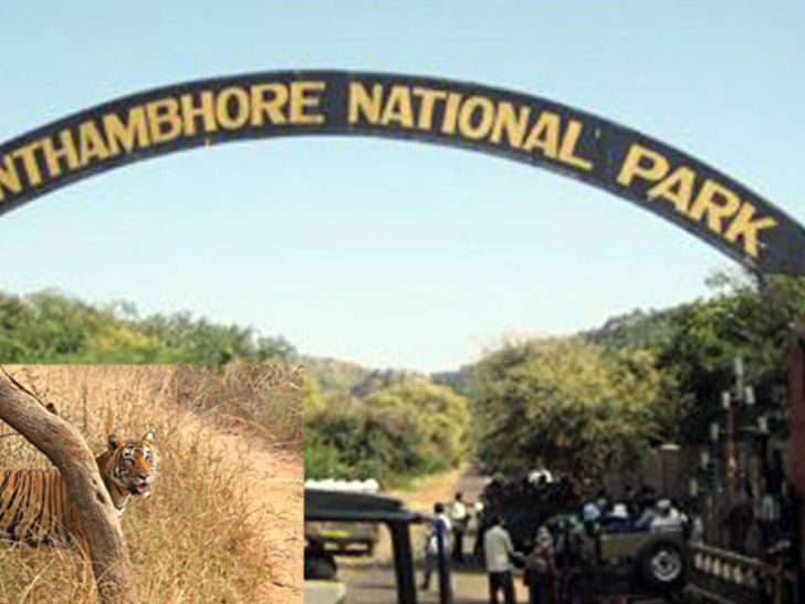 Ranthambore National Park Ranthambore National Park