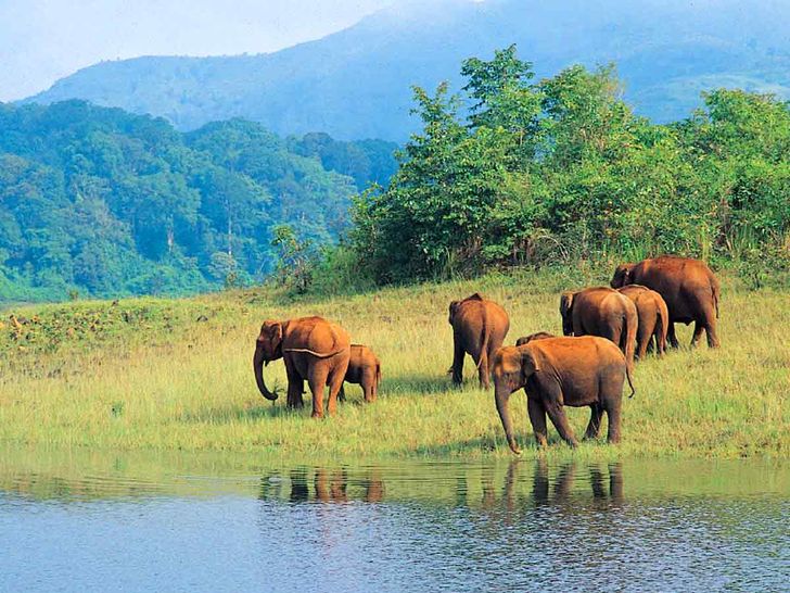Periyar National Park Periyar National Park