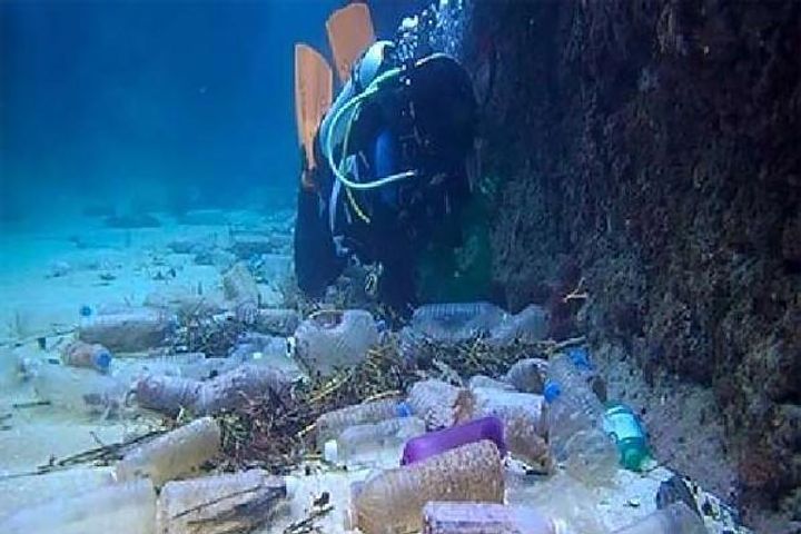 After global warming, microplastic pollution is also a big challenge for the environment.