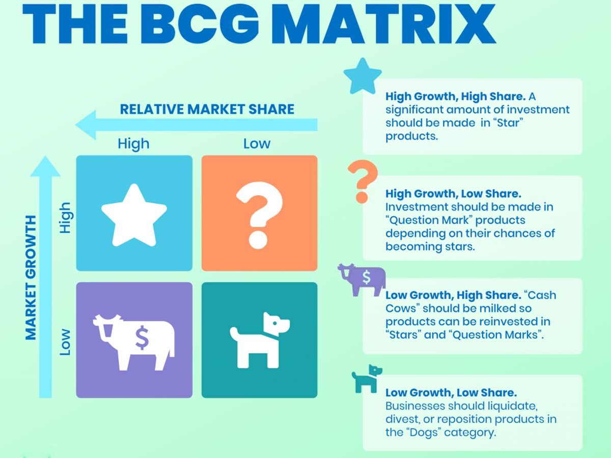 Bcg Matrix With Example In Hindi