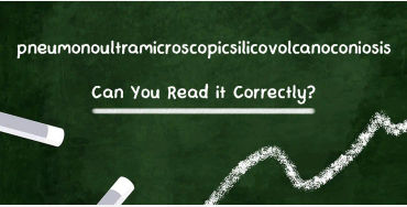 longest word, longest word in english