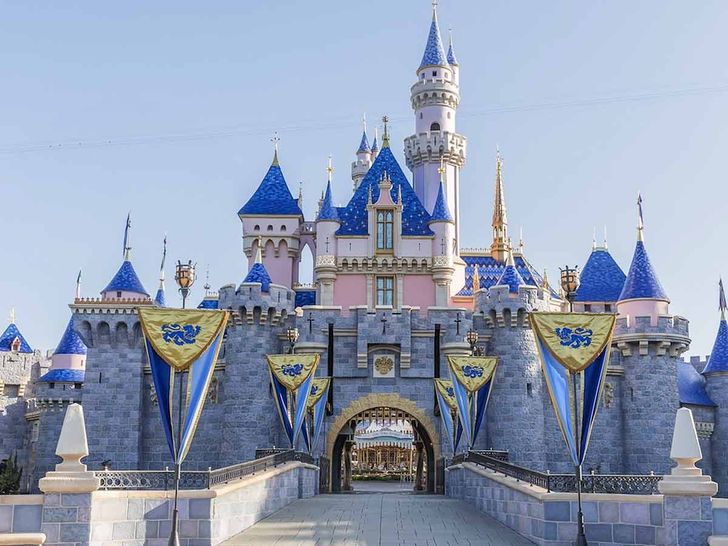 new castle of disneyland