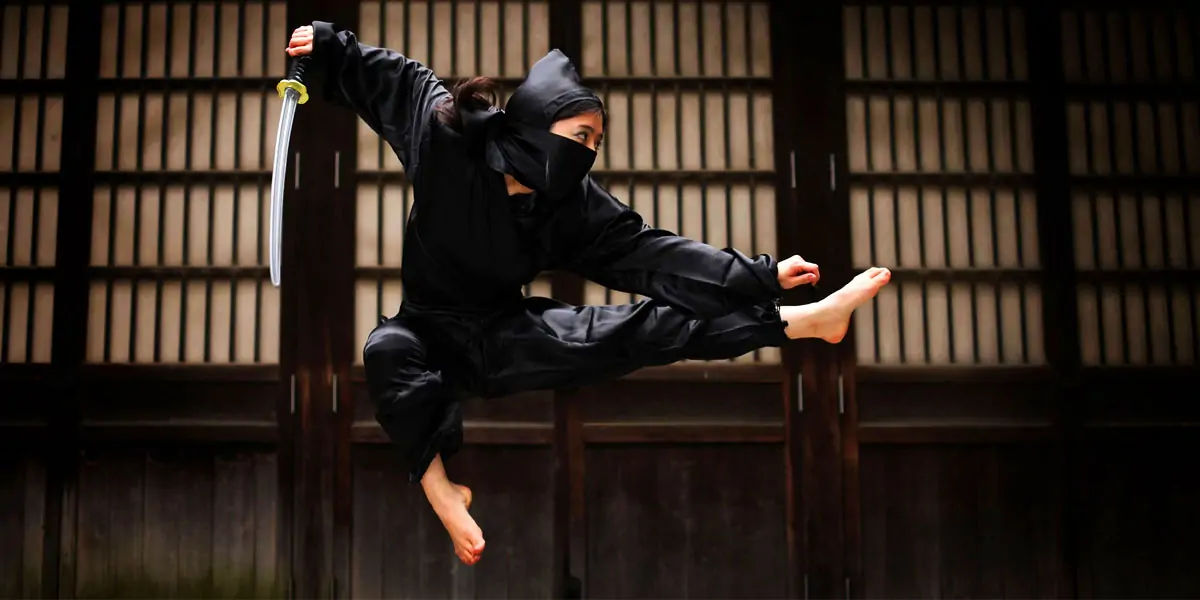 ninja, japan ninja, japanese ninja, ninja, ninja hattori