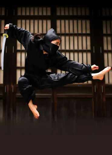 ninja, japan ninja, japanese ninja, ninja, ninja hattori