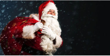 santa claus, santa clause license, pilot license