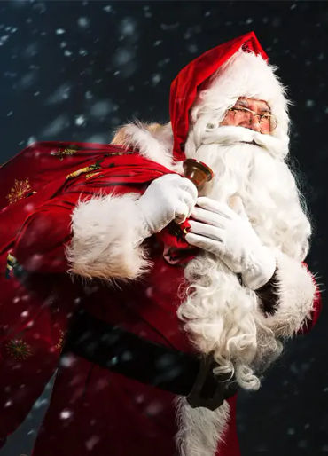 santa claus, santa clause license, pilot license