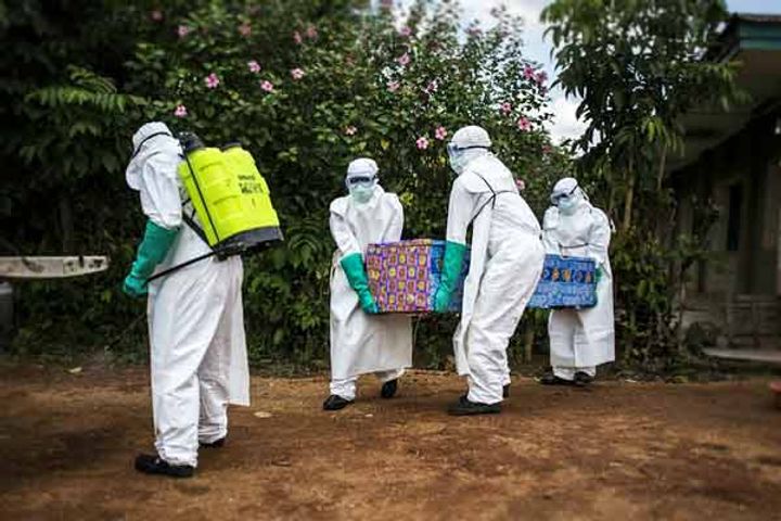 Study on Ebola virus Study on Ebola virus