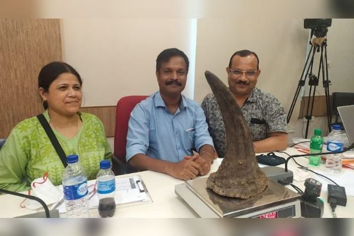 Assam government decides to destroy 2,479 rhino horns publicly Assam government decides to destroy 2,479 rhino horns publicly