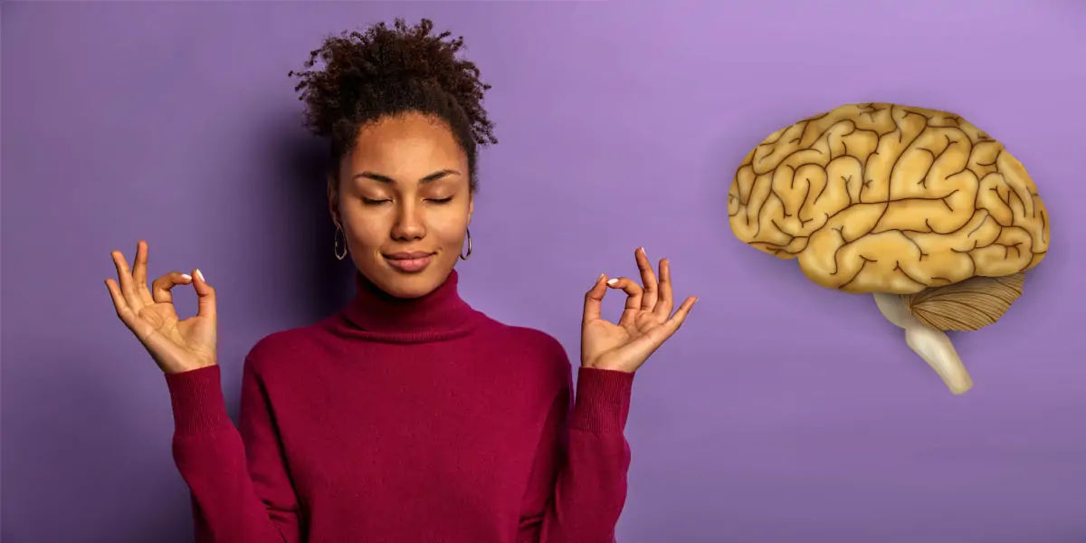 brain facts, brain memory, brain size, brain memory in gb, brain