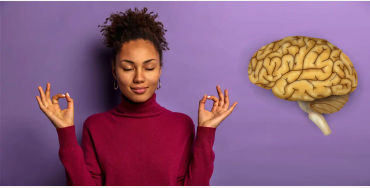 brain facts, brain memory, brain size, brain memory in gb, brain 