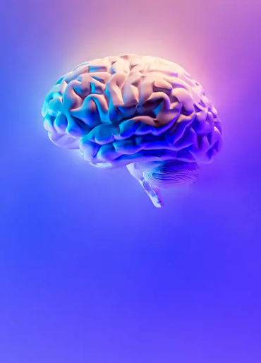 blinking, blink, eyes fact, blinking facts